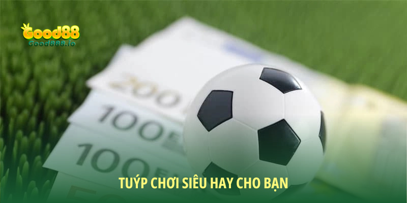 Tuýp chơi siêu hay cho bạn 